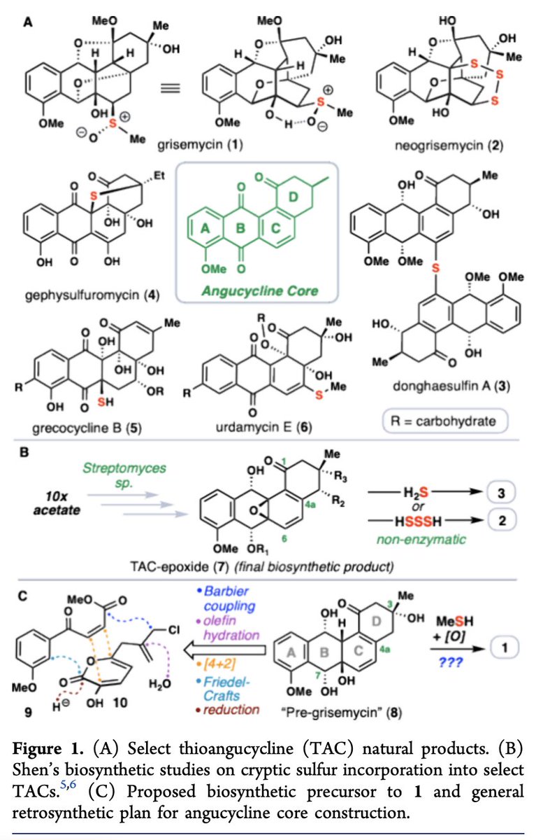 Total Synthesis tweet media