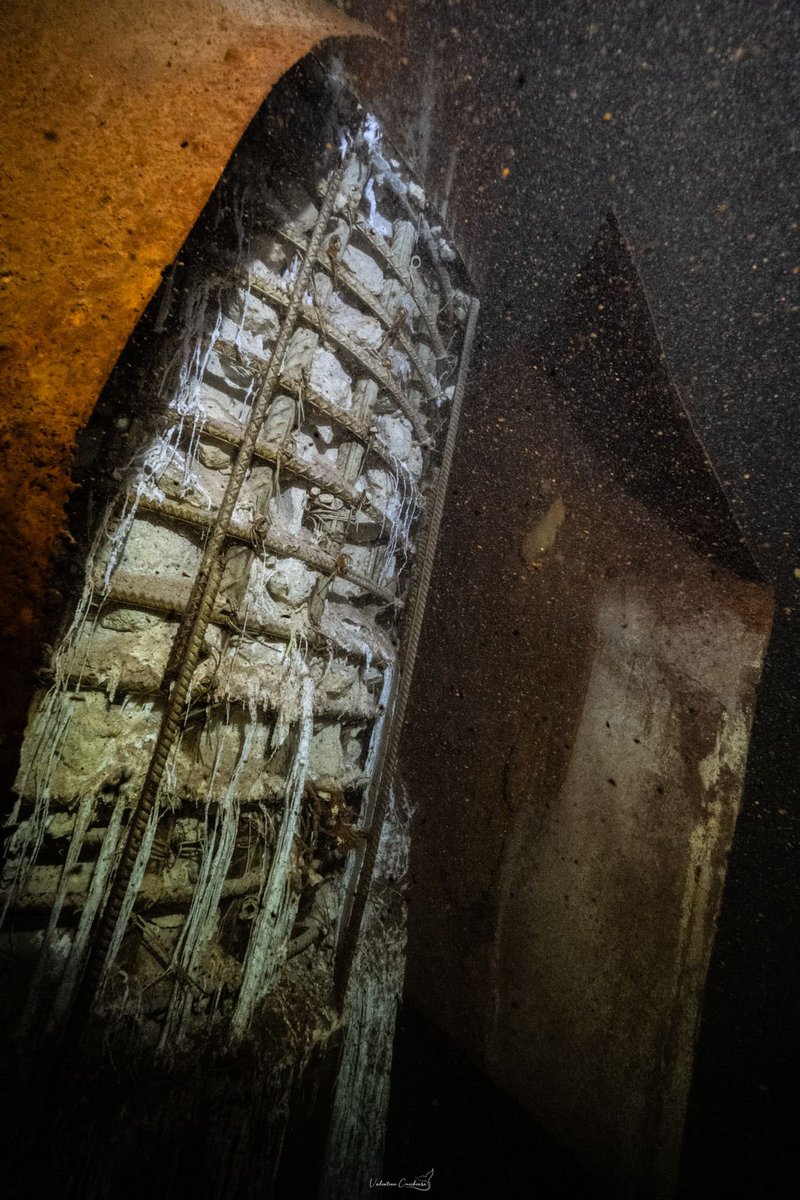 gchristy65's tweet photo. ¿Y cuando la @SCJN se pronunciara contra la contaminación del acuífero maya por 15 mil pilas de acero y concreto que ya se corroen y envenenan poco a poco el agua?

#TrenMaya #NationalGeographic #Cenotes #Yucatán #MotherNature #pollution #EnvironmentalDisaster 
@cenotesurbanos
@SelvameMX 
@SelvaMayaSOS 

@SEMARNAT_mx 
@CONANP_mx 
@PROFEPA_Mx