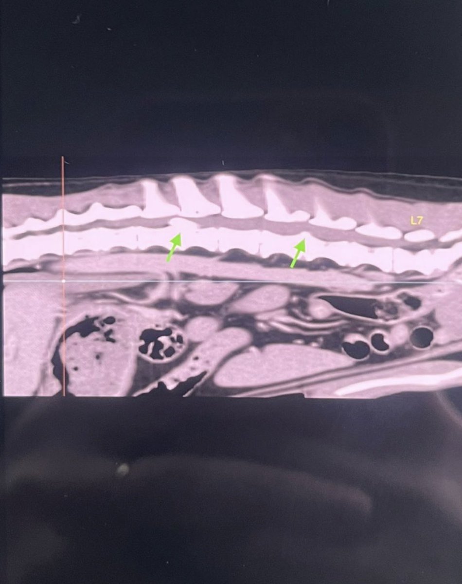 Be 🦇 📌 AU Wenclair tweet media