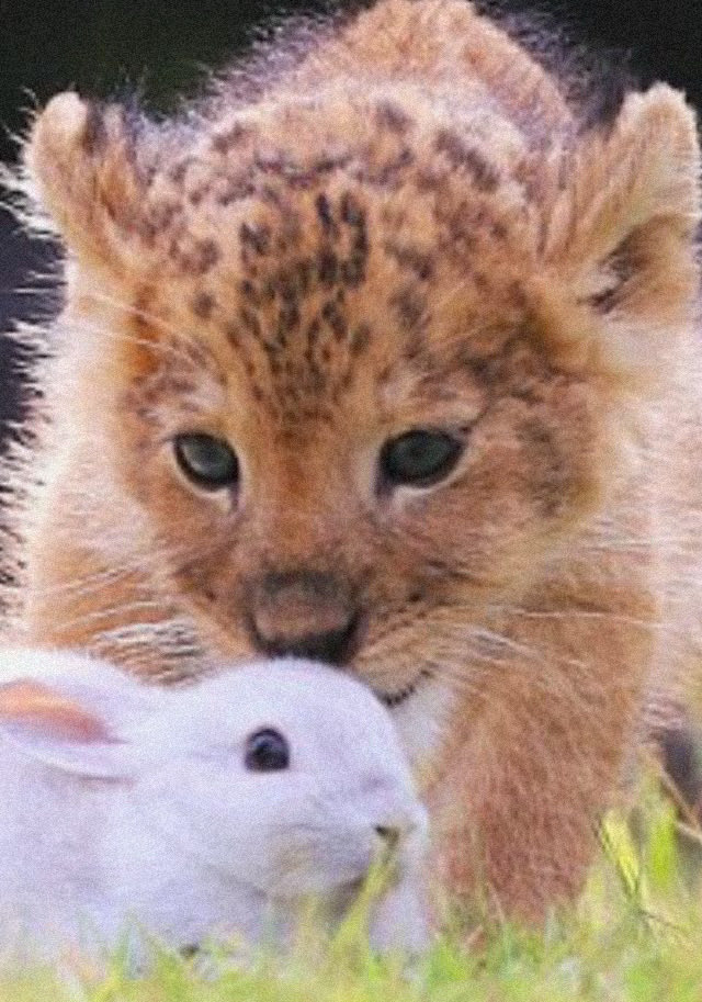 TK 𝖮𝖭𝖫𝖸 ♡ j tweet media