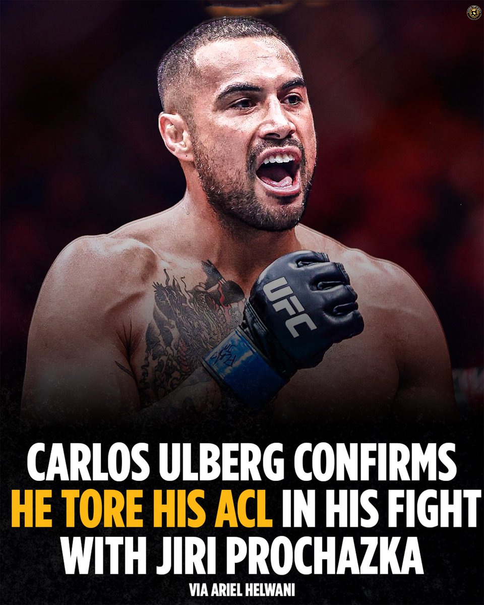 Home of Fight tweet media