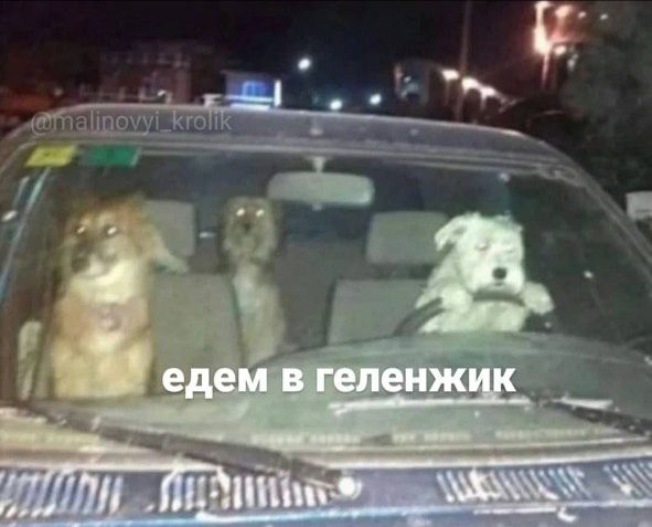 Markiza 🇷🇺 tweet media