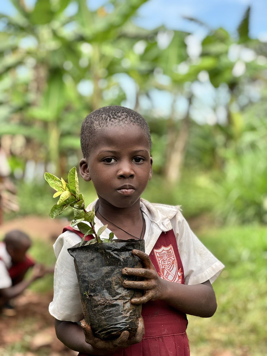 UBA Uganda tweet media