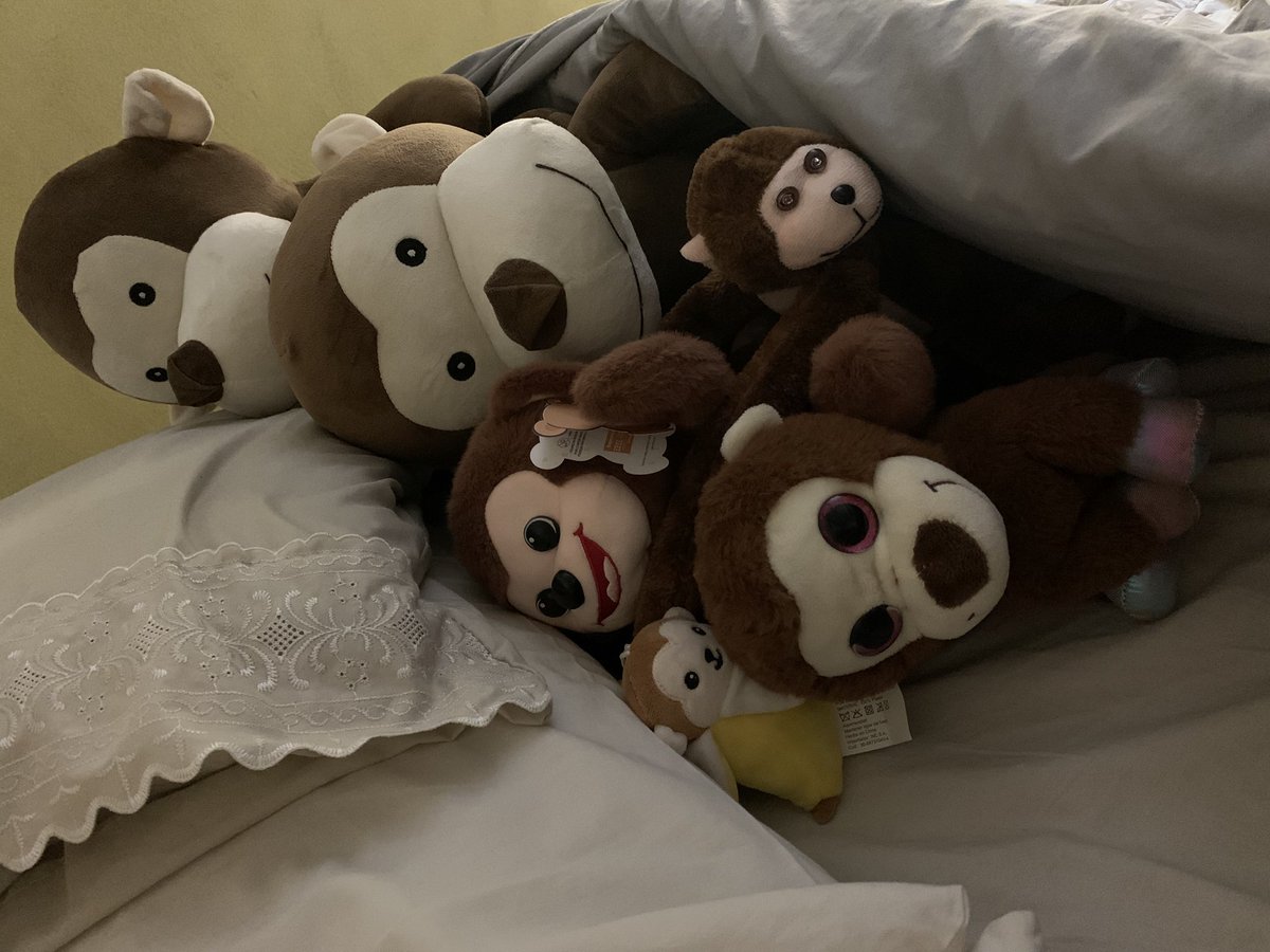 PurpurinaNaran1's tweet image. Lo último que miro antes de dormir 💘🐒
#monkey #punch