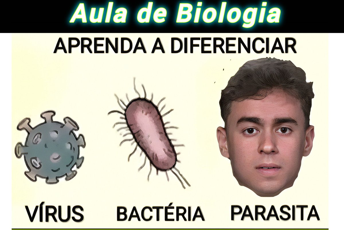 <a href="/lazarorosa25/">Lázaro Rosa 🇧🇷</a> .
                      ESCÂNDALO 
A direita que Sempre  ataca os Direitos Básicos do  TRABALHADOR, Criar o BOLSA PATRÃO pra bancar Luxos de Empresário Ricaço !

 Eles nem Sequer DISFARÇAM mais ! 😨

NIKOLAS INIMIGO DO TRABALHADOR
BOLSA PATRÃO
6X1 NÃO É VIDA
                   🤮
