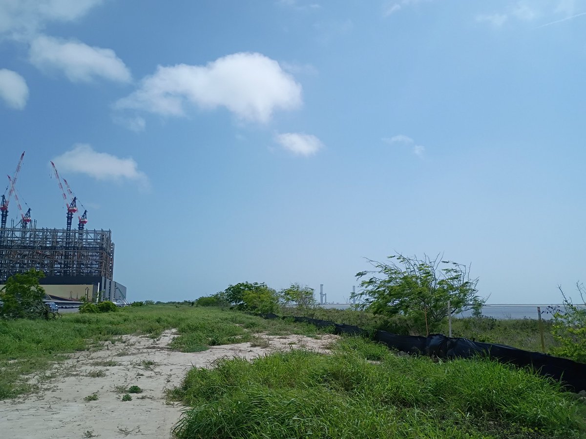 Lesley Varin tweet media