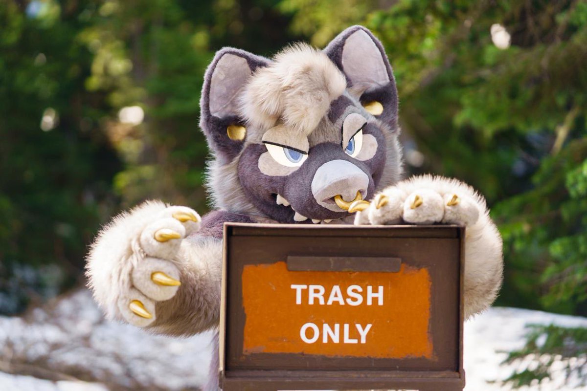 TABBY tweet media