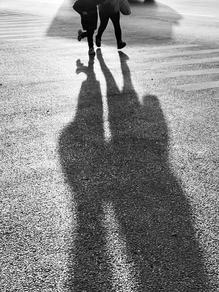 theeldarka tweet media