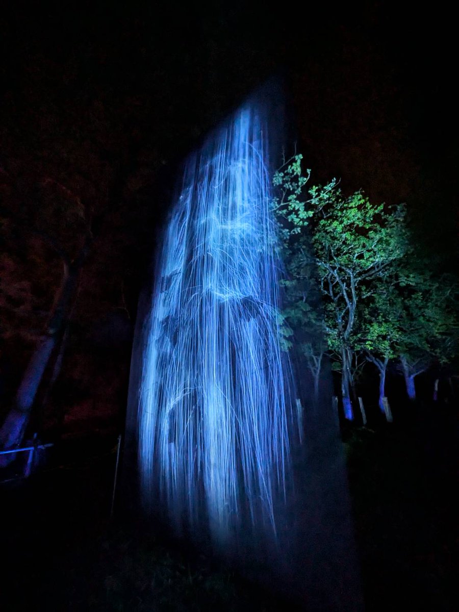 MOKU_MOKU_WHITE tweet media