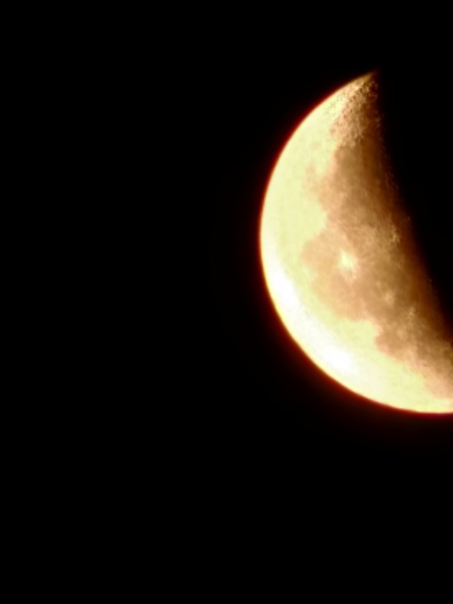 Monalisa Paraguay tweet media