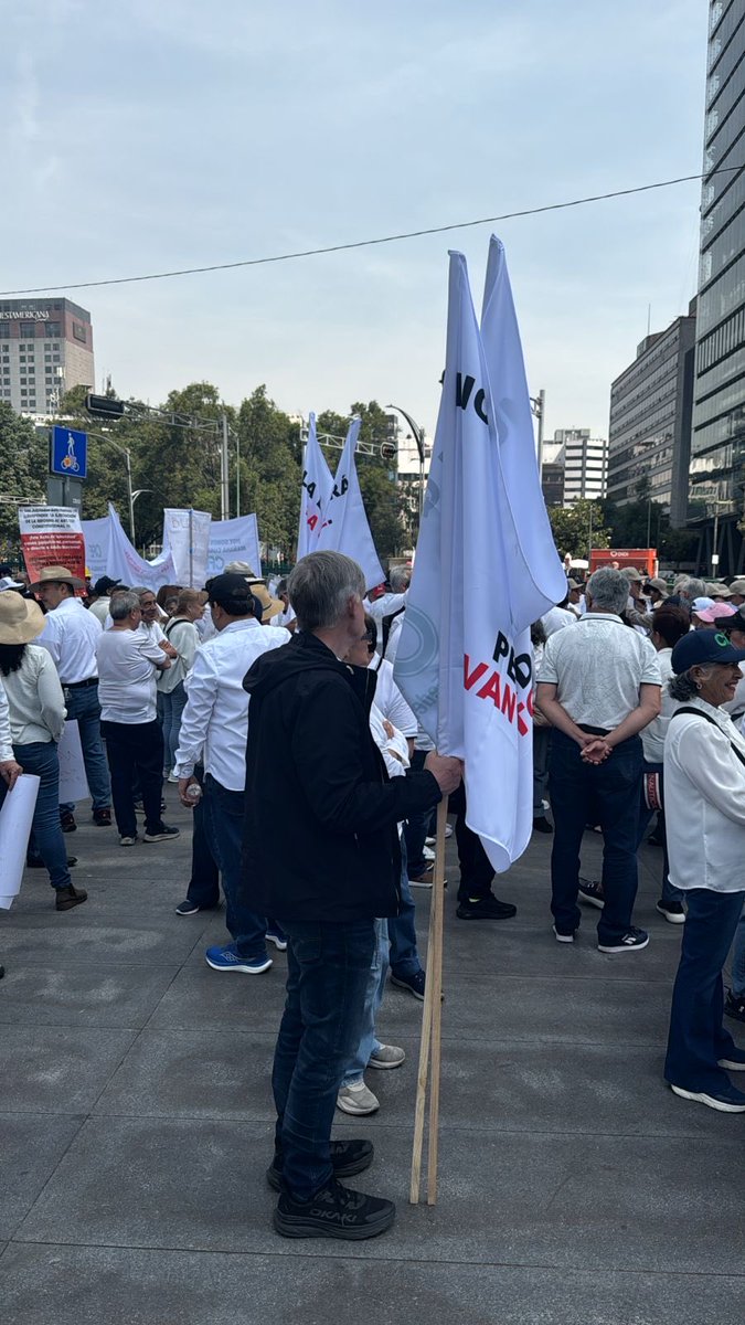 Mario Di Costanzo tweet media