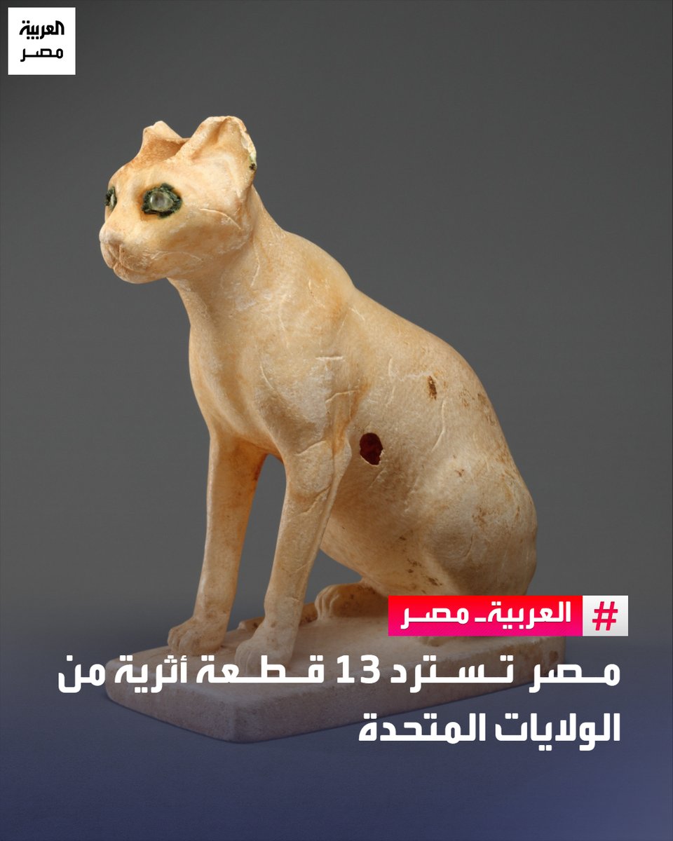 العربية مصر tweet media