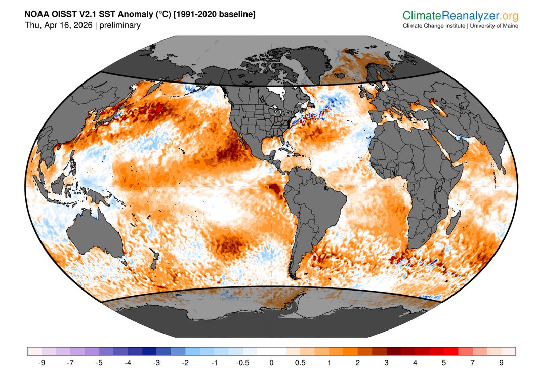 Nicolas Berrod tweet media