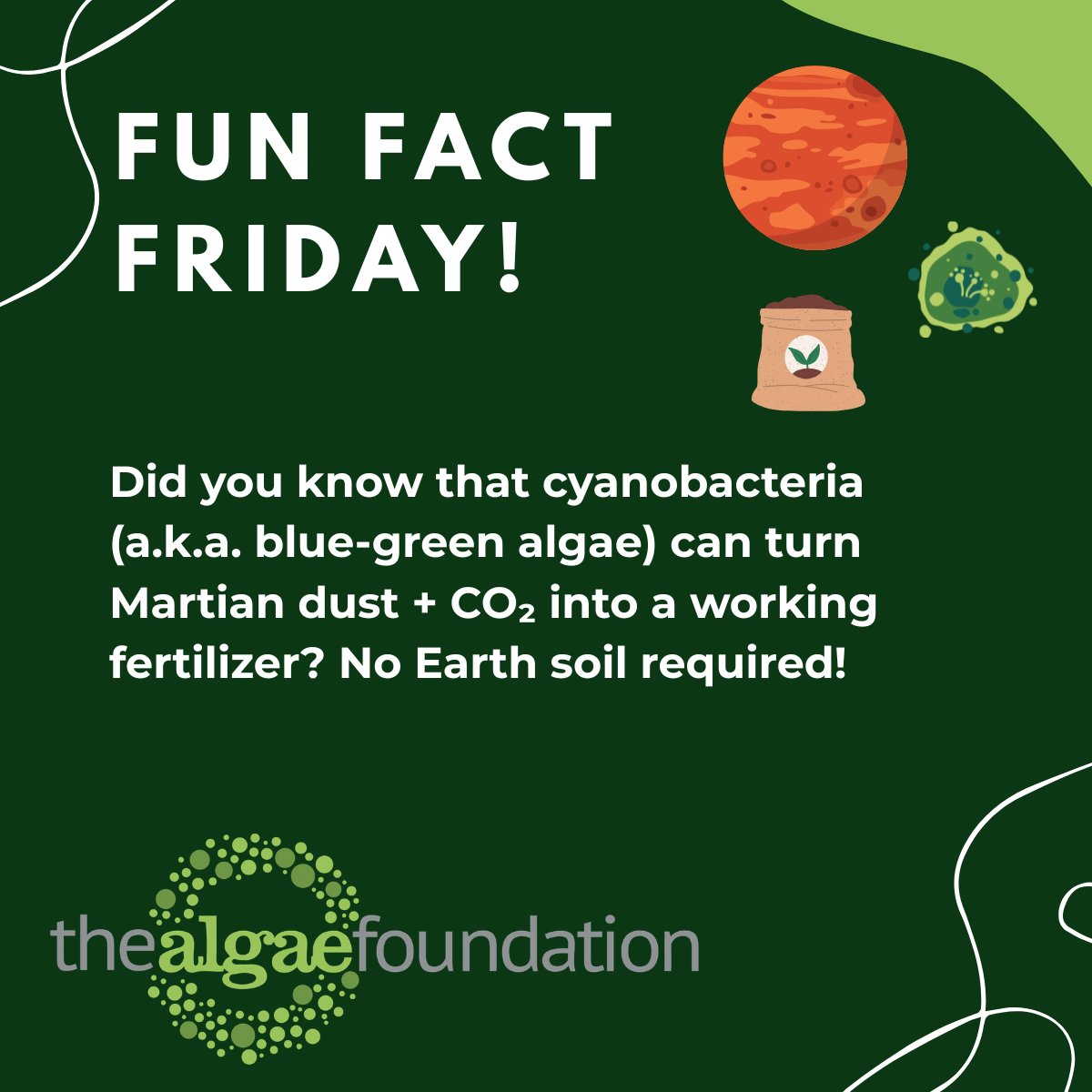 Algae Foundation tweet media