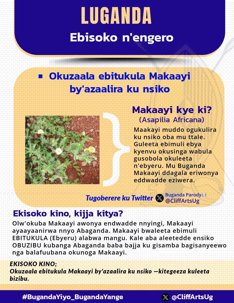 CliffArtsUg's tweet photo. Okuzaala ebitukula Makaayi by'azaalira ku nsiko —KITEGEEZAAKI? #Ebisoko #Luganda #Engero #Buganda

Abuuzizza ye @owabwinowasswa era tumuzzeemu — #CliffArts @CliffArtsUg #BugandaYiyo_BugandaYange https://t.co/ID6w4xslDQ