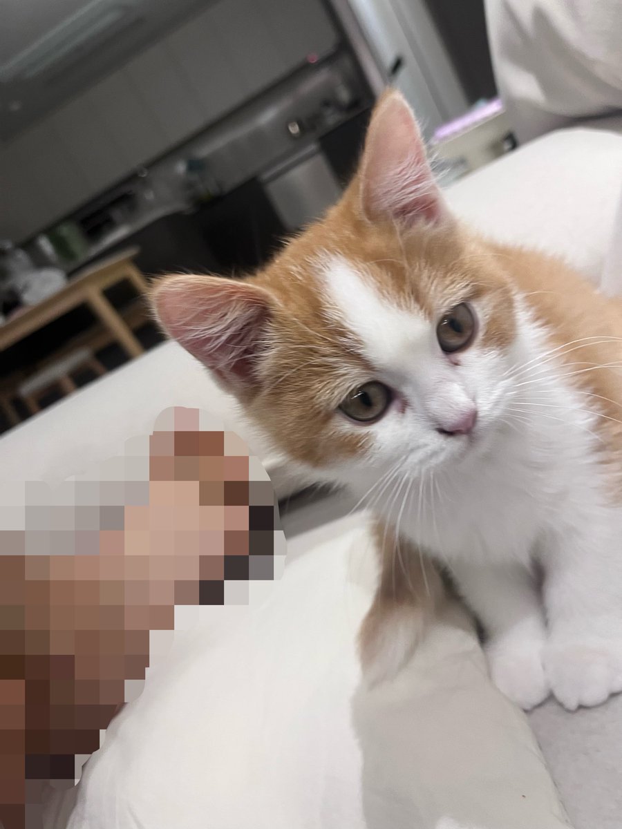 이대못가면죽는병걸림 tweet media