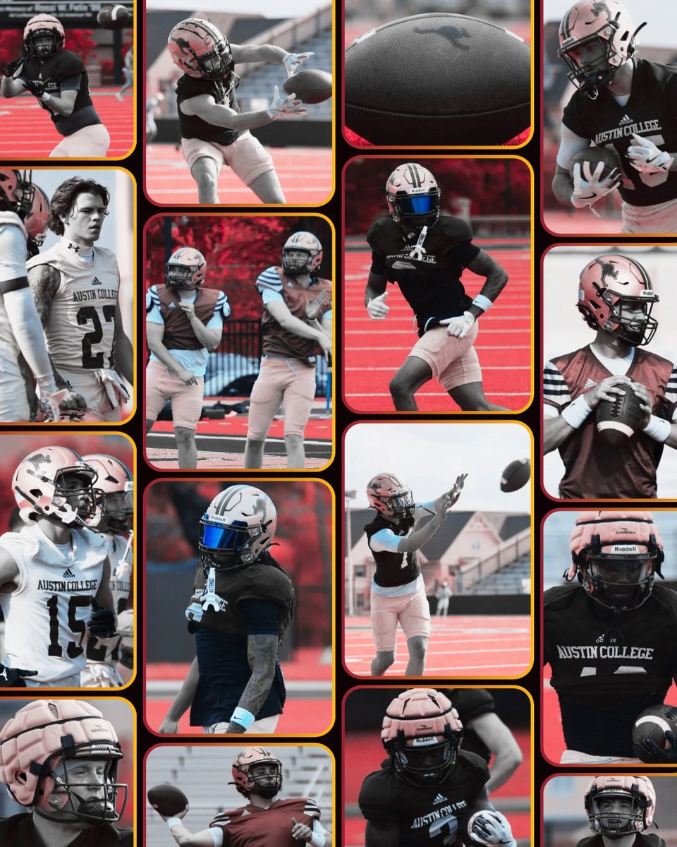 Austin College ’Roos Football tweet media