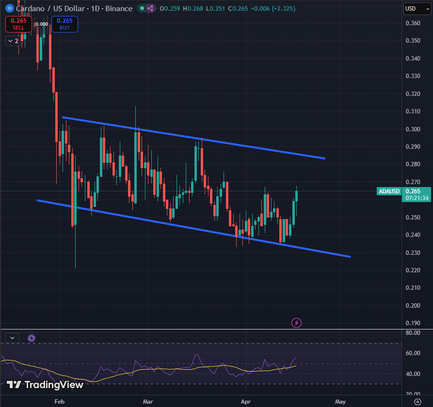 Sssebi🦁 tweet media