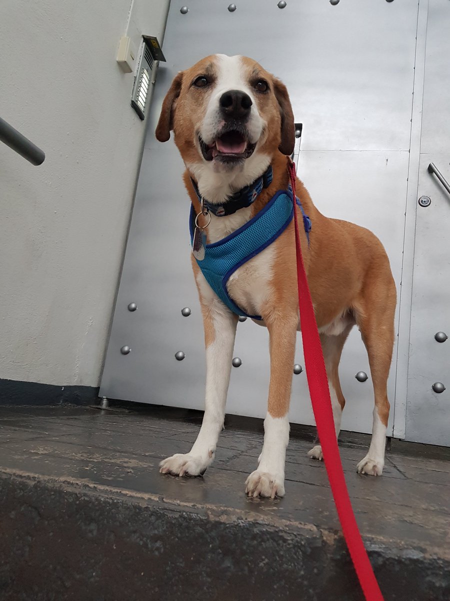 DuqueDeCaixas tweet media