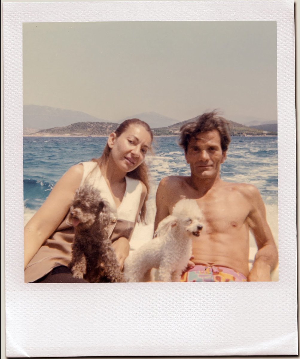 Wild at Heart tweet media