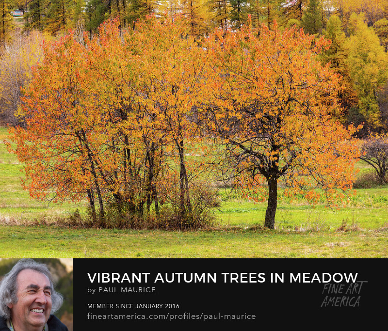 apollo0300's tweet image. Vibrant Autumn Trees in Meadow

fineartamerica.com/featured/vibra…

#alpesdusud #alps #autumn #colorsoffall #frenchalps #HautesAlpes #hautesalpestourisme #Lovepaca #tree #paulcmaurice #artforsale #buyintoart #fineart #giftidea #giftideas #homedecor #wallart #FindYourThing