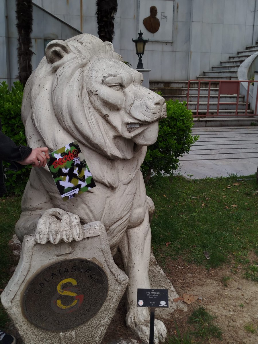 acabaFanzin tweet media