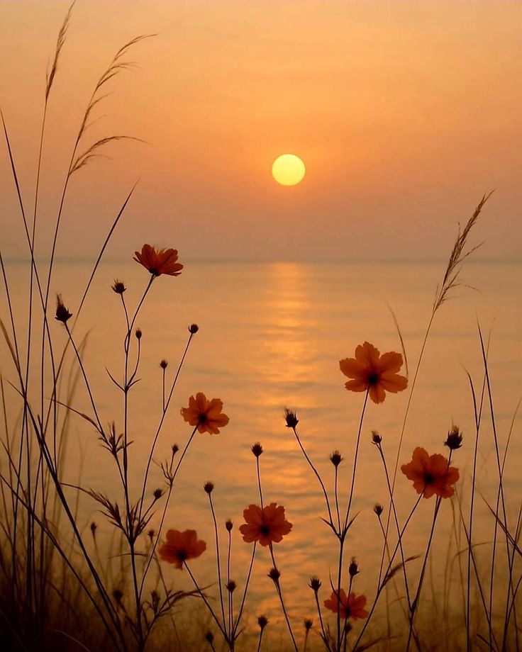 ❤️.🇮🇶...werth tweet media