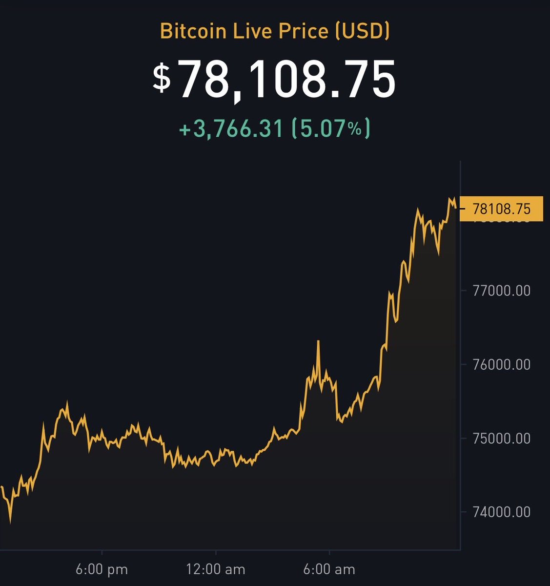The ₿itcoin Therapist tweet media