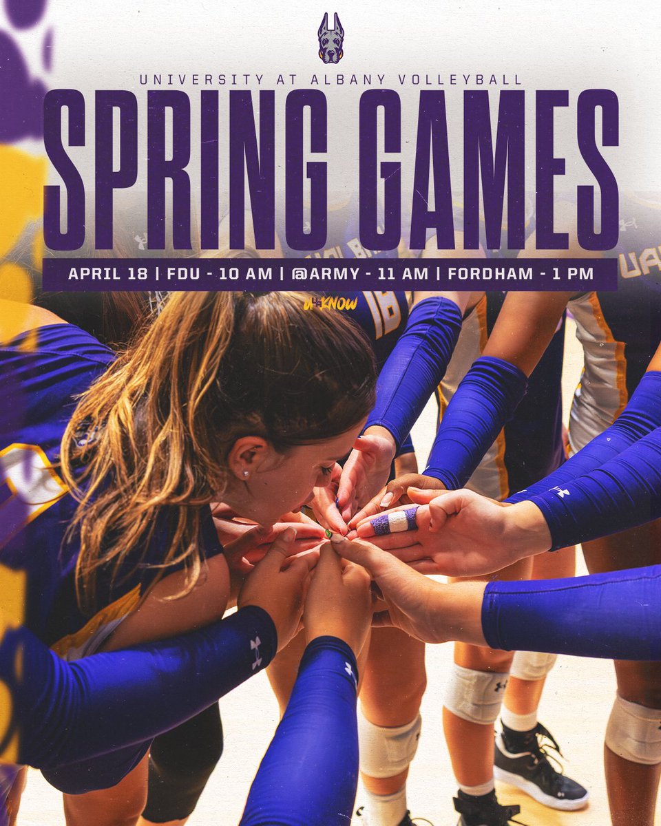 UAlbany Volleyball tweet media