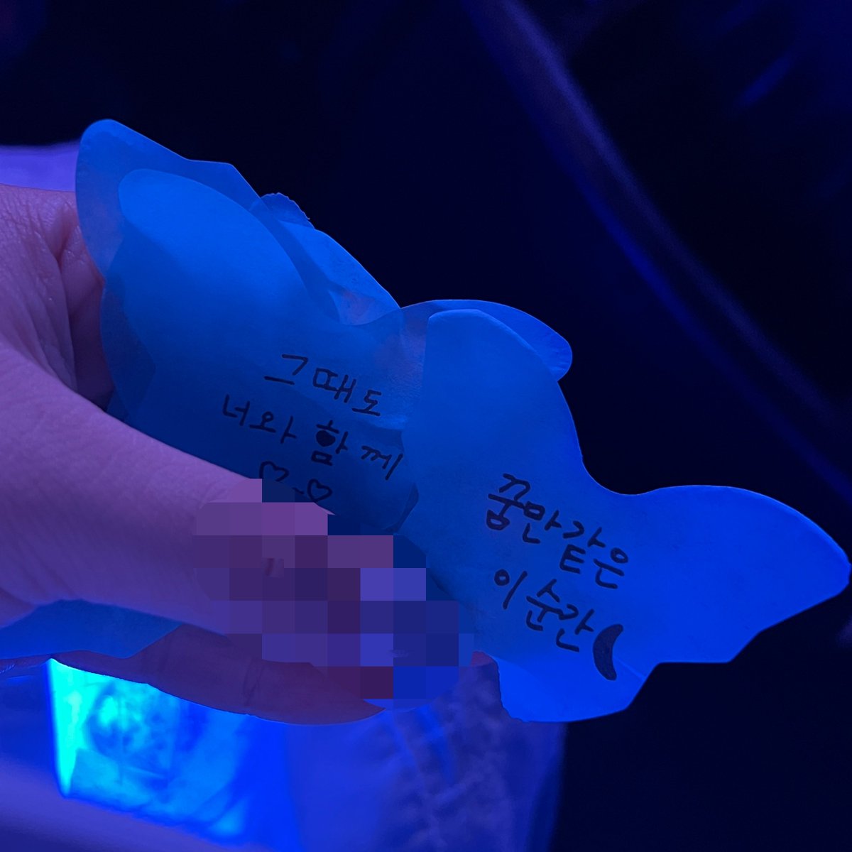 너무 행복했던거같아...