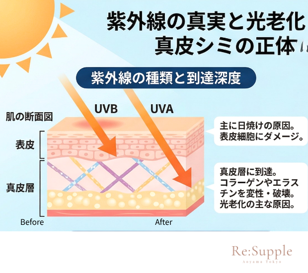 ReSupple73969's tweet image. ☀️ 「SPF50 PA++++」毎日見てるのに
実は意味、知ってますか？

SPF → 紫外線B波（シミ・炎症の原因）を防ぐ時間
PA → 紫外線A波（たるみ・くすみの原因）を防ぐ強さ

両方カットしないと
透明感は手に入らない。

続きはブログで👇

#紫外線対策 #SPF #UV #透明感 #南青山