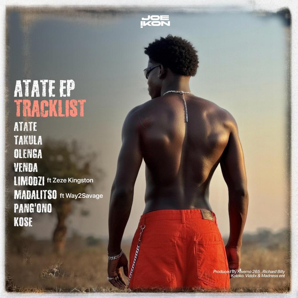 Palm Tree Media. tweet media