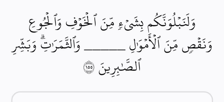 ​﴿ القُـرآن الكَـرِيم ﴾ tweet media