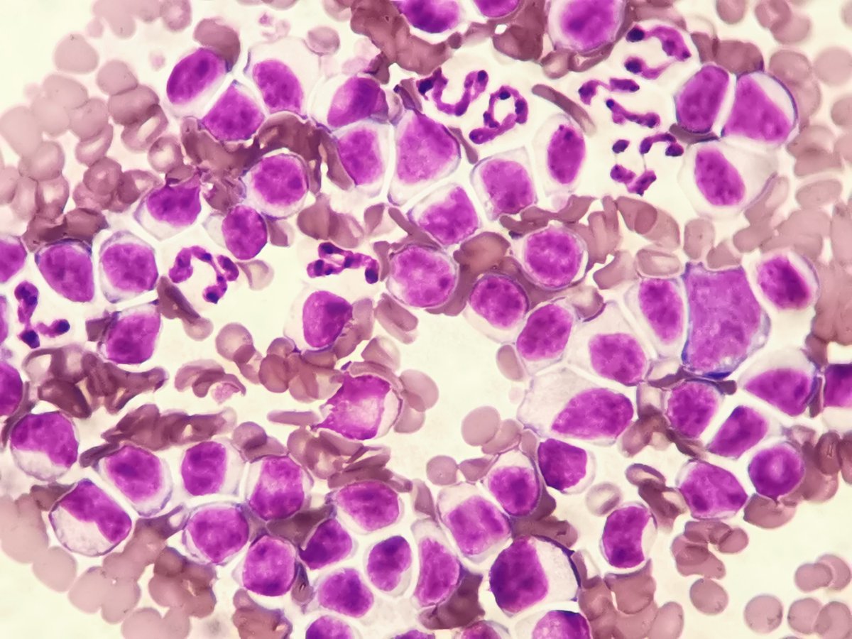 showbikers's tweet image. "Your pup’s snuggles u003e all Monday blues.  #PetLove #HappyMonday"