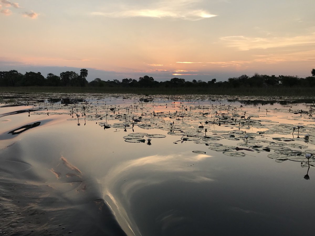 Lishulo's tweet photo. Thamalakane River https://t.co/hFjrpNPDJc