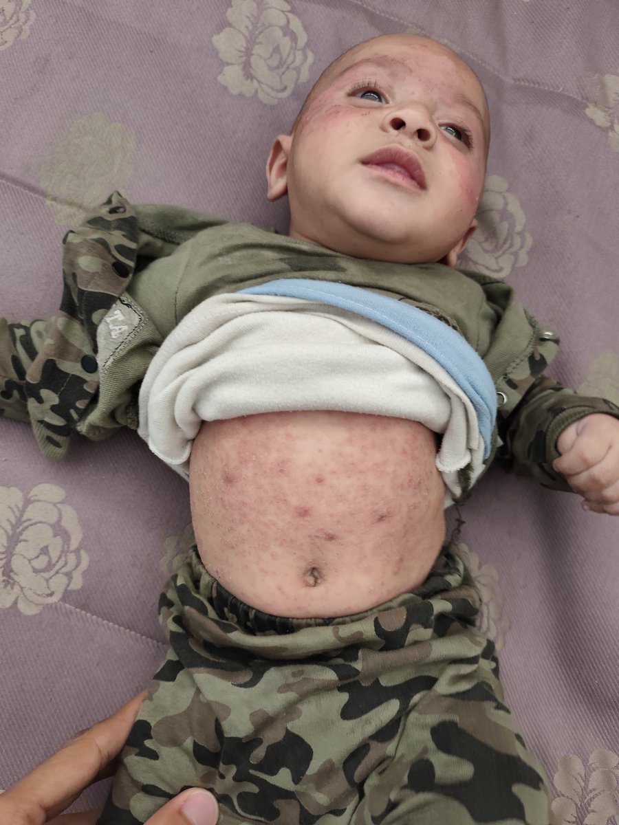 Jihad in gaza 🇵🇸 tweet media