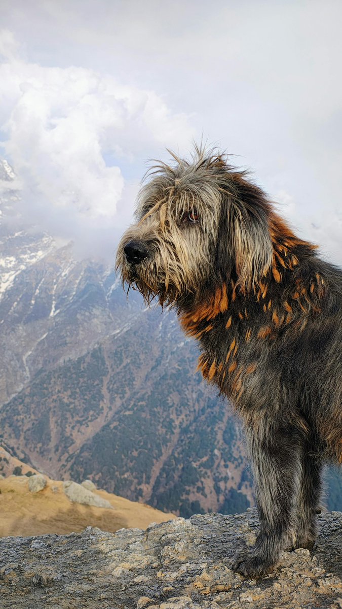 Tyne Cena tweet media