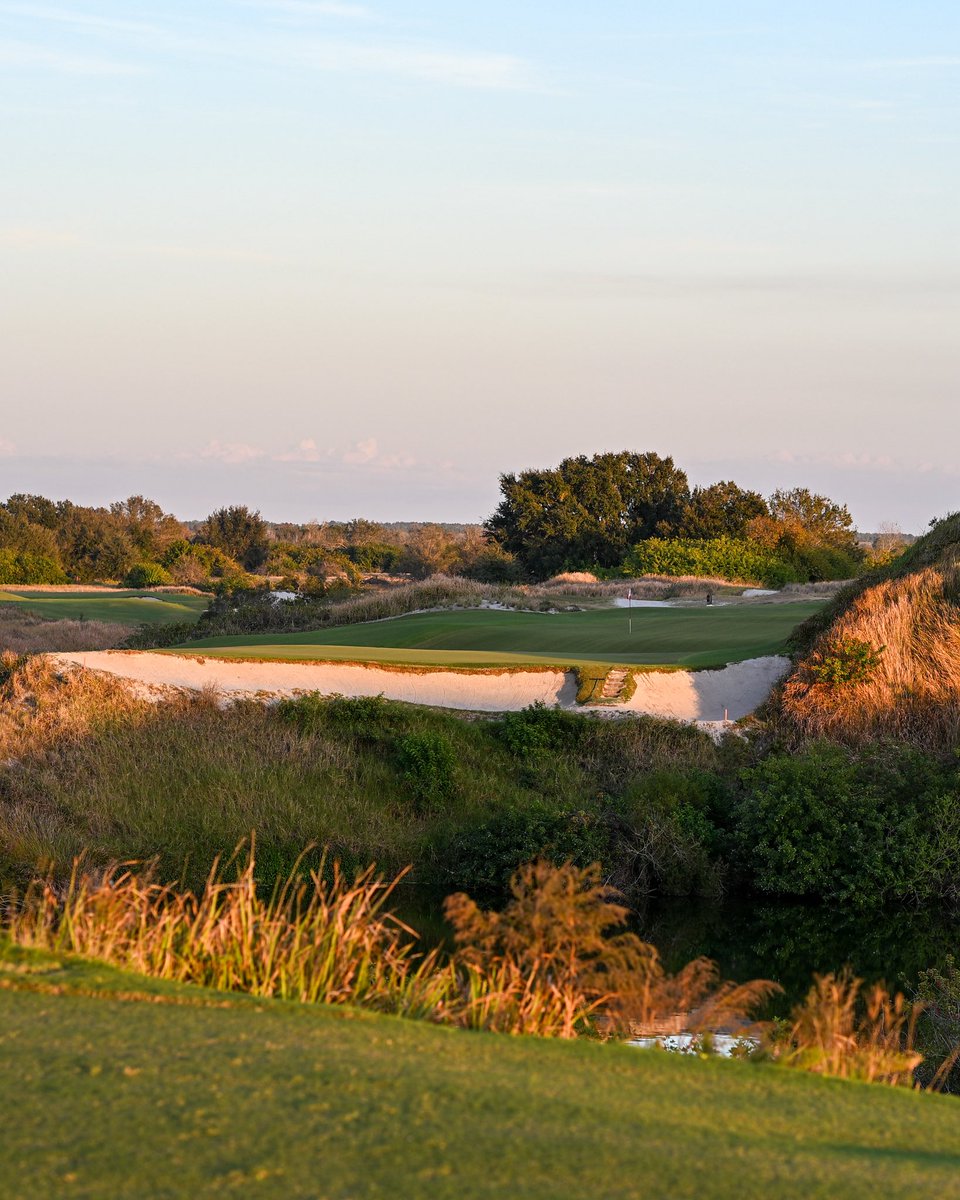 AE Golf Journal tweet media
