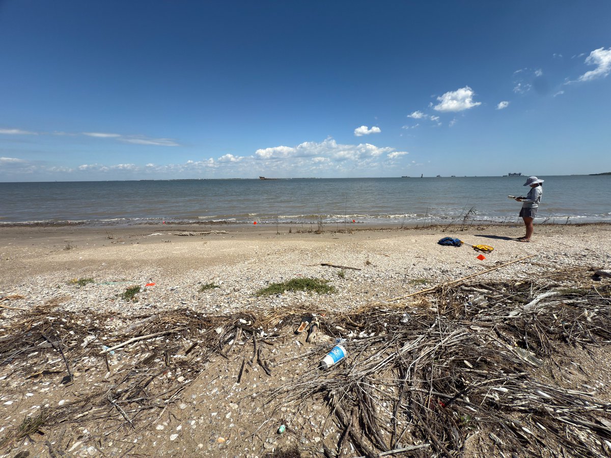 NOAA Marine Debris Program tweet media