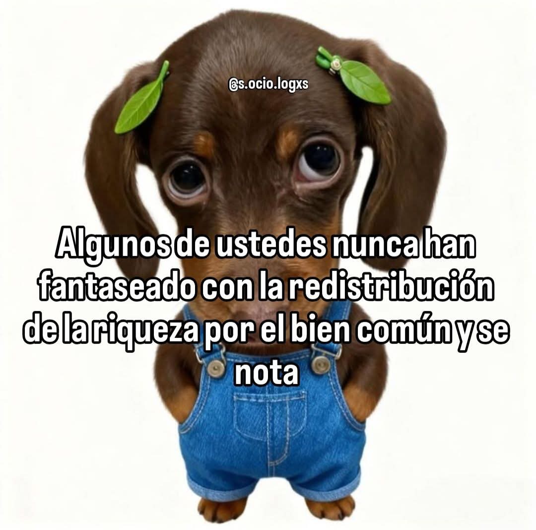 s(ocio)logxs tweet media