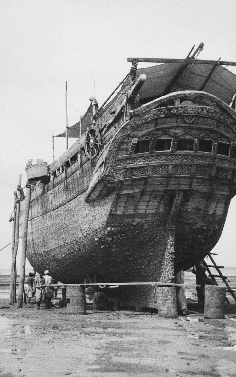 Mohamed Osman Alin, Cala. tweet media