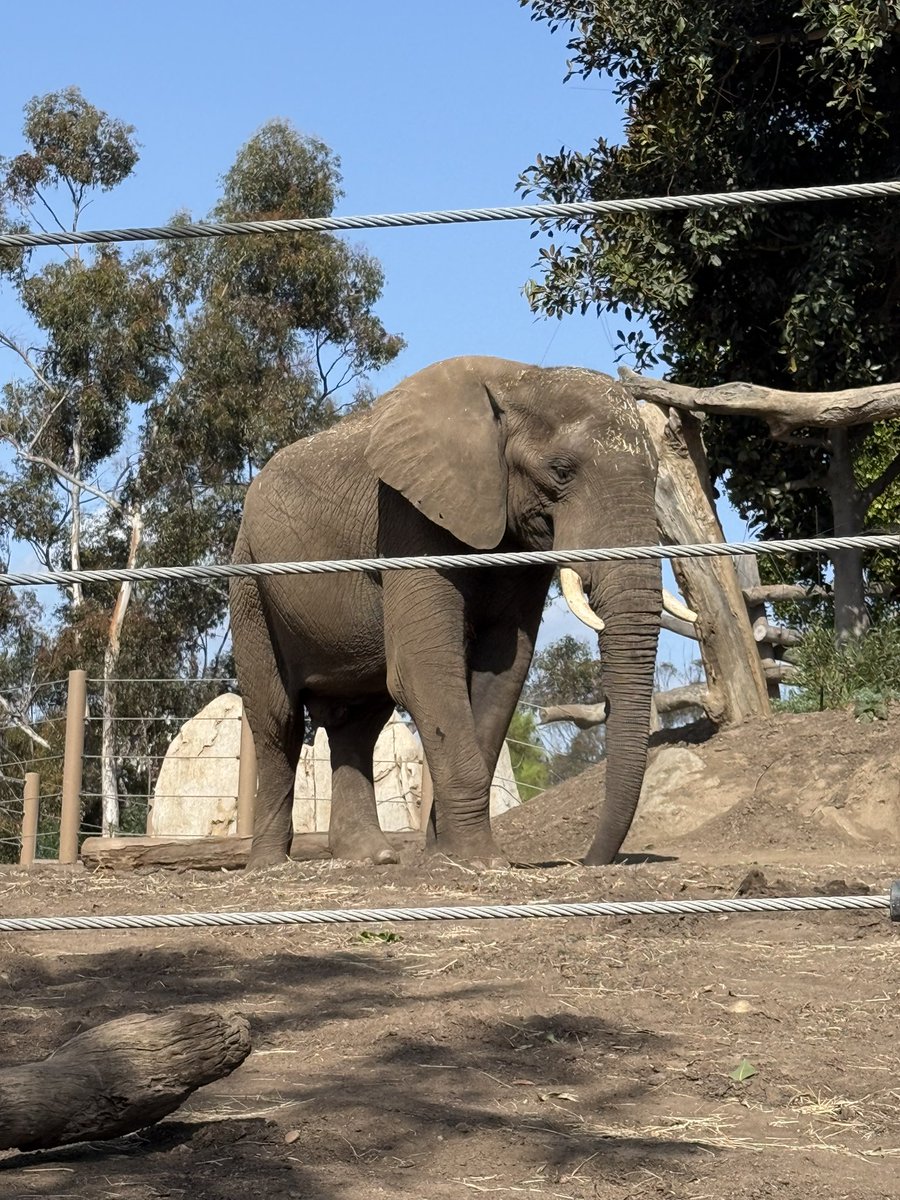 God makes beautiful things