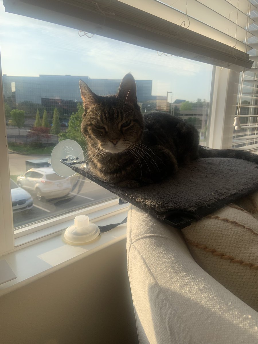 Sara and Raymond 😸 tweet media