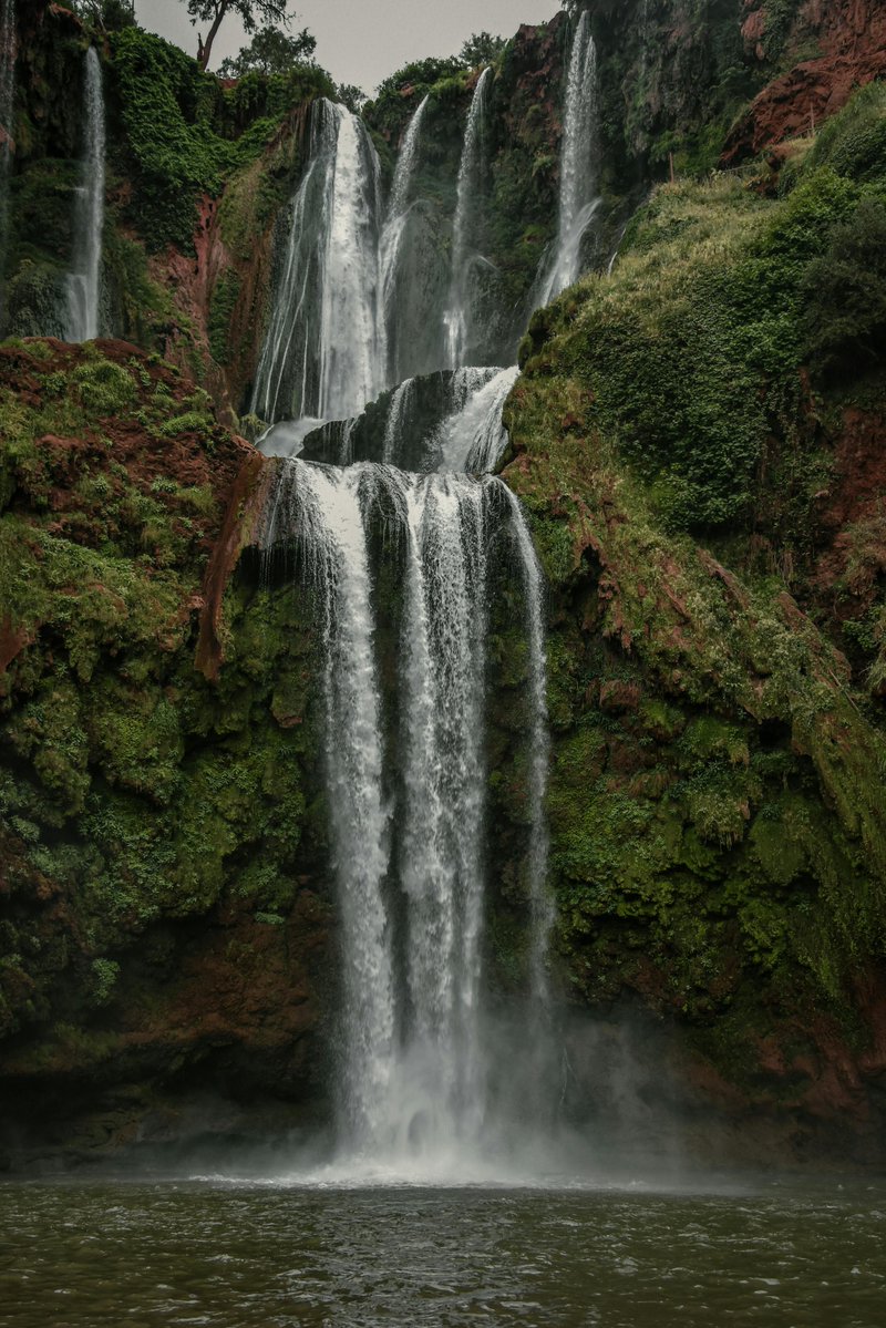 Tyne Cena tweet media