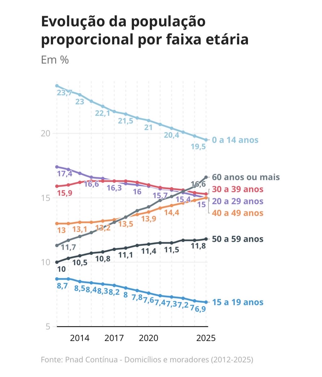 carolina fernandes tweet media
