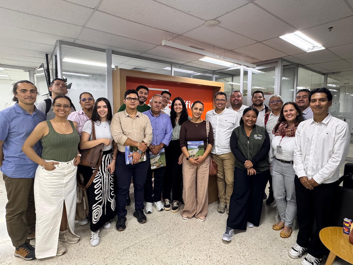 ProPacífico tweet media