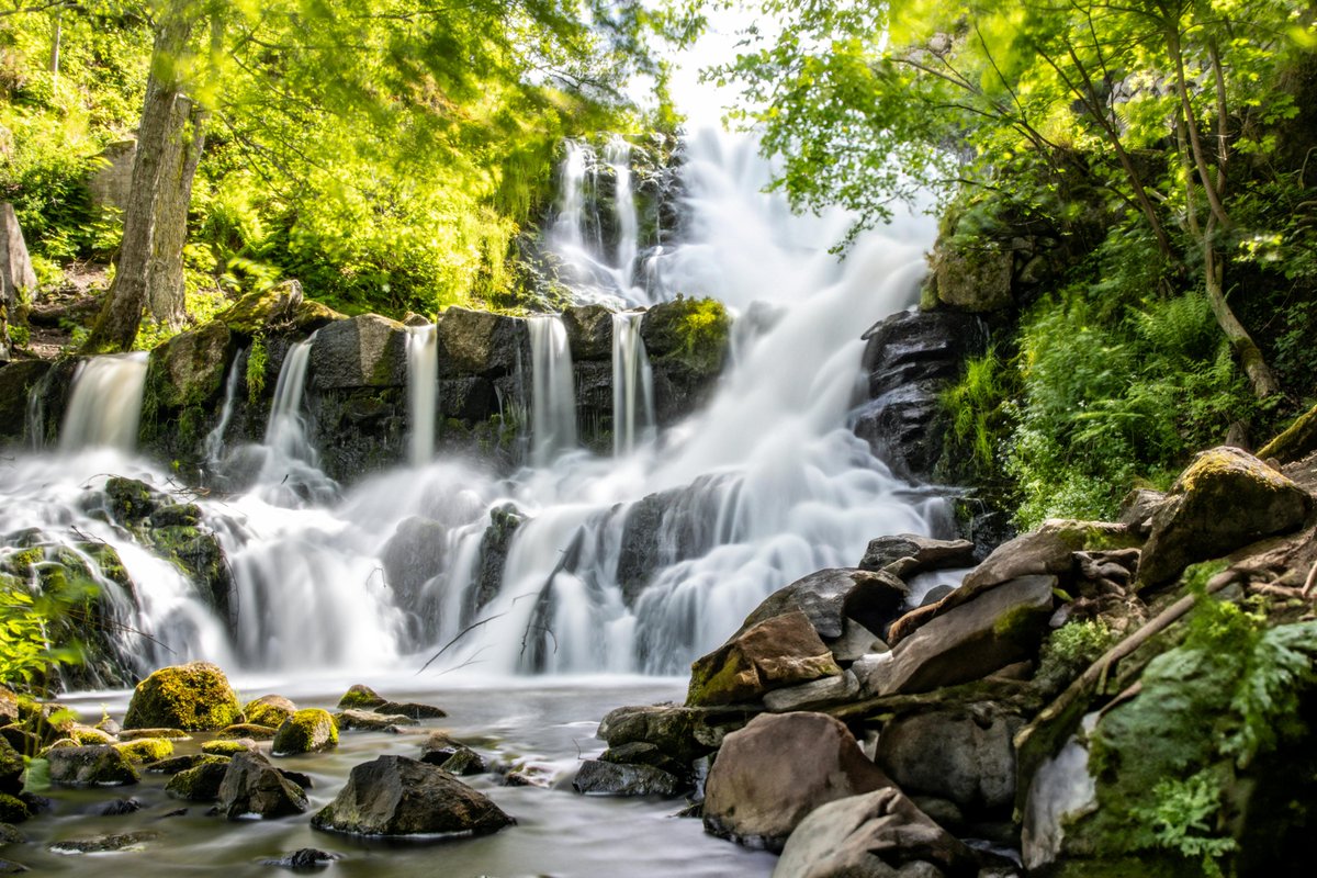gülcan şahin tweet media