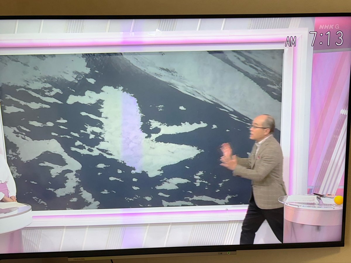 むーちゃん tweet media