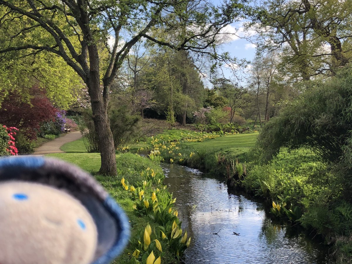 Alsace🐶 Nero puppy propaganda tweet media