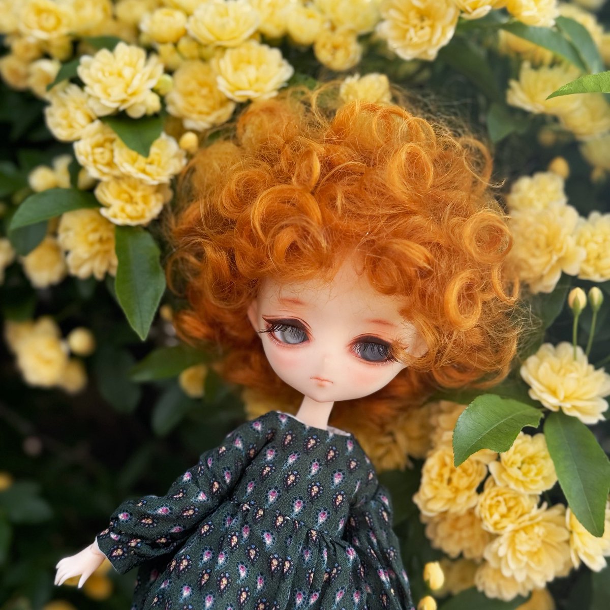 えんふぉれ◆次回は7/12アイドール東京！ tweet media